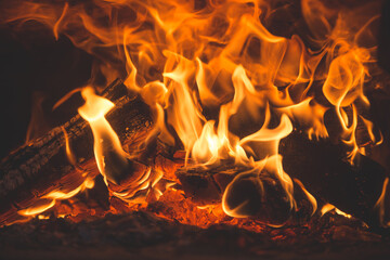 A few birch logs burning in the fireplace
