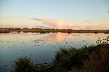 View from coast throught green grass on foreground on a water of lake, pink sunset, blue sky and white clouds at evening time