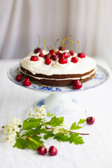 Homemade cherry cake with whipping cream and cherry berries on top surrounded with flowering  branches on white tablecloth