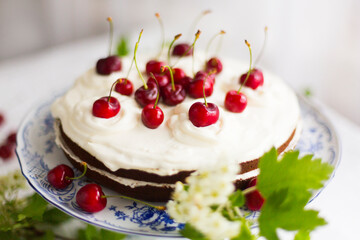 Homemade cherry cake with whipping cream and cherry berries on top surrounded with flowering  branches on white tablecloth