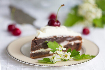 Piece of homemade cherry cake with whipping cream and cherry berry on top surrounded with flowering  branches on white tablecloth