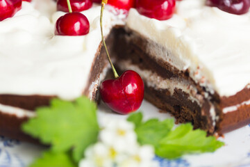 Piece of homemade cherry cake with whipping cream and cherry berry on top surrounded with flowering  branches on white tablecloth