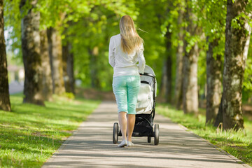 One young mother pushing white baby stroller and slowly walking through green alley of trees in warm, sunny spring day. Spending time with infant. Enjoying stroll. Back view.