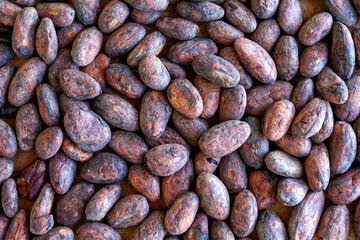 Cocoa beans background