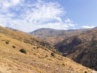 Fototapeta na wymiar walk through the Sierra Nevada mountains 