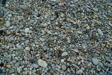 Stones. Texture of gray. Natural background. The beach and shore. Wallpaper. headpiece. High quality photo
