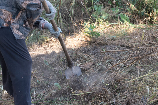 Trabajando en el campo con una azada