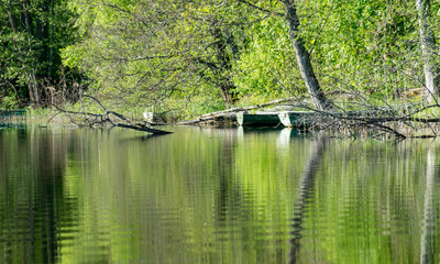 lake shore with trees and green grass, boats and tree reflections in the water, bright spring morning by the water