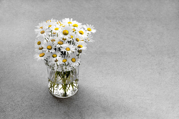 Daisies in a glass vase on concrete background.