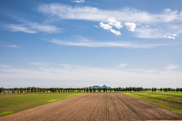 Fototapeta na wymiar Spring farmland and clear sky