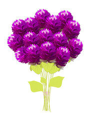 Globe amaranth flowers isolated on white background. Amaranth flower bouquet. Great idea for Logo, greeting card, post card, print, emblem. 