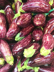 A lot of striped eggplants. Market. Close up photo.
