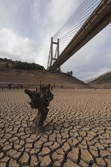Estragos de la sequía extrema en el embalse de Barrios de Luna, seco por completo.