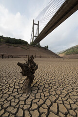 Estragos de la sequía extrema en el embalse de Barrios de Luna, seco por completo.