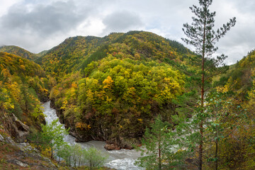 A panoramic landscape view with a high hill covered by an autumn forest and a fast mountain river flowing in a deep rocky canyon