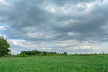 Sky with rain clouds over a green meadow