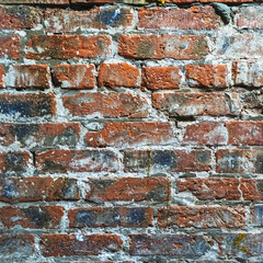 A wall of old dirty red brick for the background