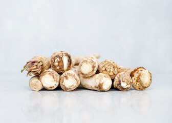 Fresh horseradish root on a white background. Organic prevention and treatment against virus and infection. Copy space for text.