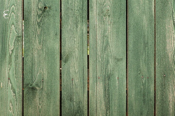 Grüne Holzwand