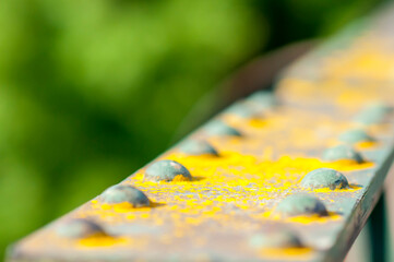 Candelariella vitellina lichen on the steel structure of the bridge with rivets