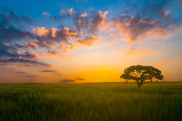 Colorful of clouds and blue sky with sun set for nature textured background