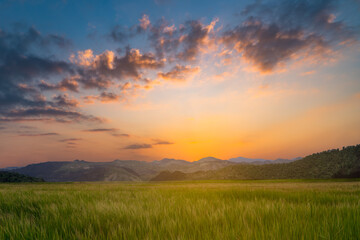Colorful of clouds and blue sky with sun set for nature textured background
