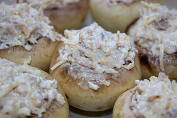 Stuffed mushrooms stuffed with cheese, mushroom stalks and onions. In a baking dish.