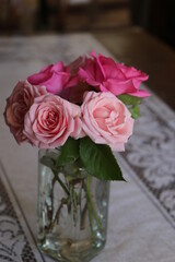 Rosa