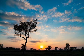 Colorful of clouds and blue sky with sun set for nature textured background