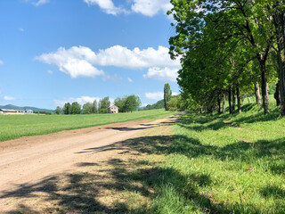 landscape with road, road in the field