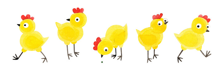 Five cute little yellow chickens. Hand-drawn watercolor illustrations on a white background. A set of design elements for websites, postcards, packaging, textiles, prints, banners, and stores.