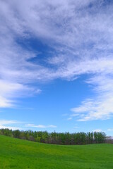Fototapeta na wymiar 白い雲の浮かぶ青空と草原。北海道、日本。
