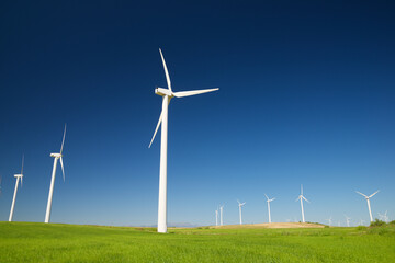 Fototapeta premium Renewable energy concept