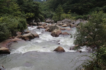 苗名滝が注ぐ関川