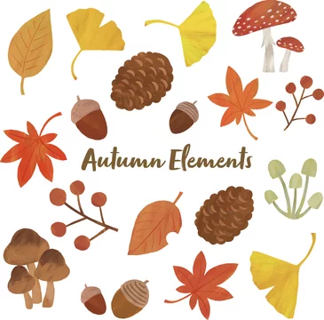 秋 もみじ きのこ イチョウ ドングリ 松ぼっくり 葉っぱ イラスト セット Stock Vector Adobe Stock