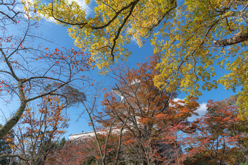 伊賀上野城の秋景色