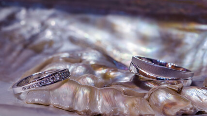 Wedding rings of white gold on pearl shells.