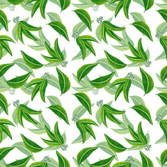 Seamless pattern with eucalyptus leaves on white background. Watercolor markers hand drawn illustration in realistic style. Medical herbs, floral background, exotic tree, koala feed, green foliage.