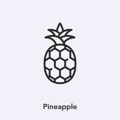 Obraz premium pineapple icon vector sign symbol
