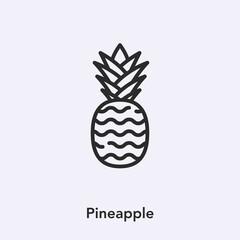 pineapple icon vector sign symbol