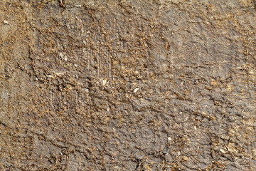 Old Weathered Brown Wood Texture