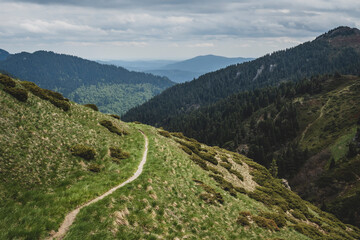 Aerial view of a winding path that leads to intertwining hills and mountains, with fir forests and evergreen spruces that invite you to take a deep breath and enjoy nature. Mountain tourism in Romania