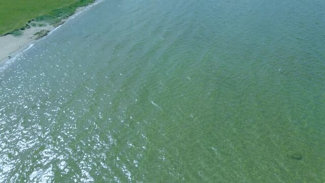 Aerial view down to top over coast, quiet sea and uninhabited beach, clear green water zatoka gdanska in  Puck