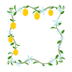 Vector decorative square frame of lemon branch with leaves and flowers.