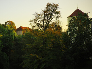 Medieval towers over trees in Prague in the fall. Deer moat.