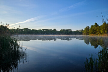 Sonnenaufgang am Waldsee.