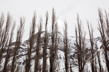 Winter Landscape Mountain