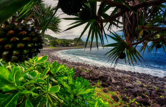 Manapany-les-bains bay, surf spot with gorgeous waves with its natural pond in the background far away