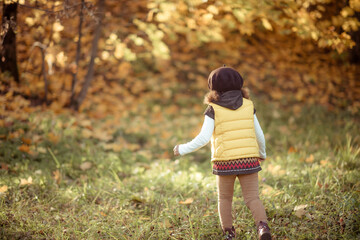 adorable little girl with autumn leaves in the beauty park.