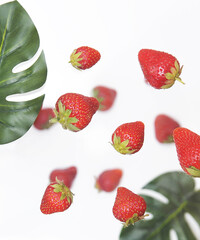 Strawberries and monstera leaf on white background.